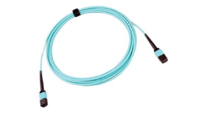 DTC Fiber Optic Patchcord MPO / MTP 