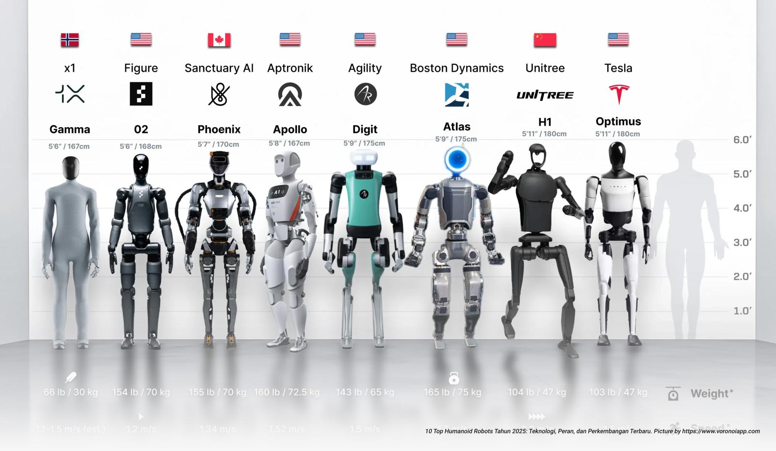 10 Top Humanoid Robots Tahun 2025: Teknologi, Peran, dan Perkembangan Terbaru